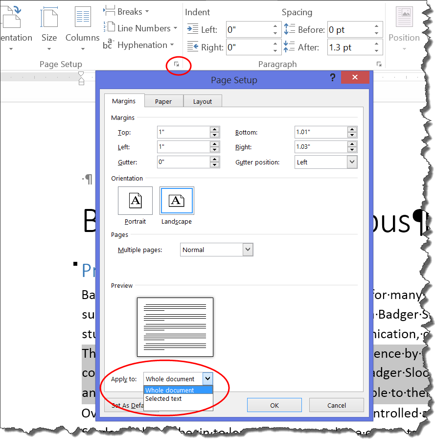 how to change top margin in word on page only