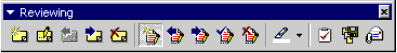 Reviewing toolbar