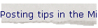 Posting tips in the Microsoft Word Forums