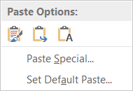 2013HomePasteOptions