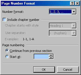 Page Number Format dialog box in Microsoft Word