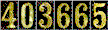 Hit Counter