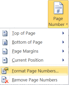 Word 2010 Page Number Format