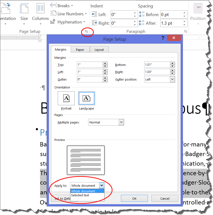 how to have different margins on different pages in word
